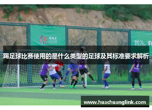 踢足球比赛使用的是什么类型的足球及其标准要求解析